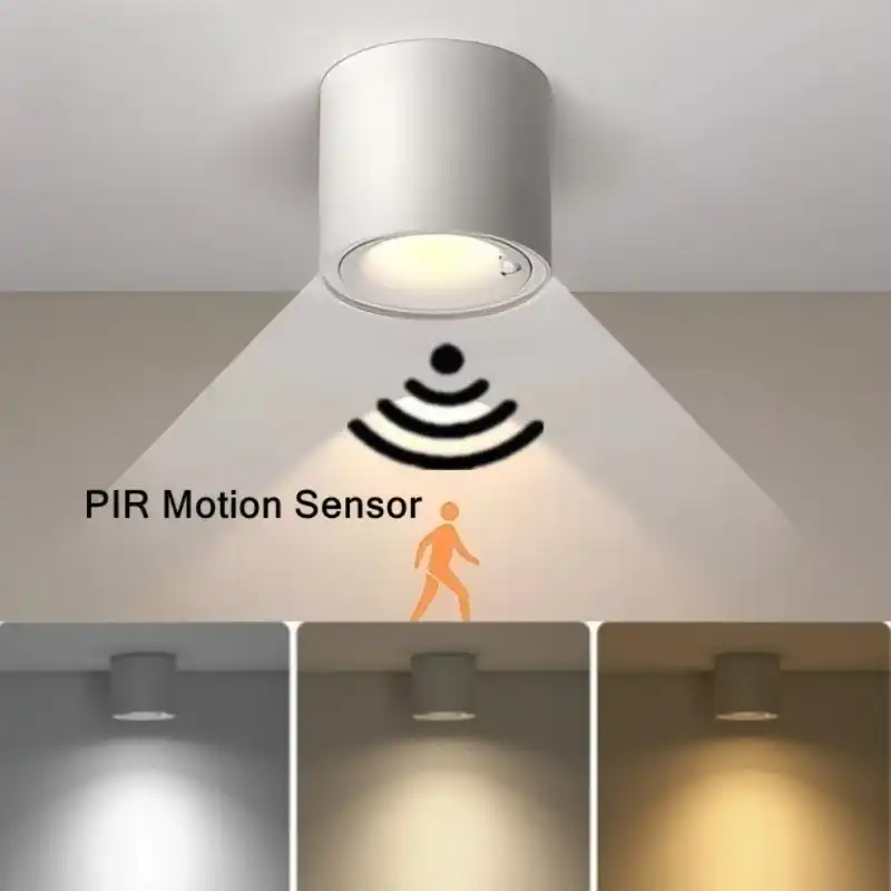 What is the difference between a downlight and an LED?